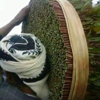 ابو علي (@bwly701853482) Twitter profile photo