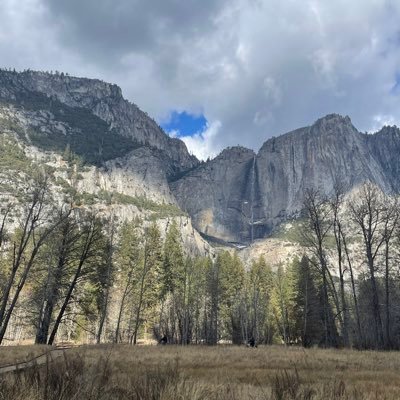 Marley06051's profile picture. Toma, sostén mi cerveza!