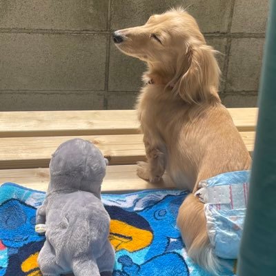 Karinさんのプロフィール画像