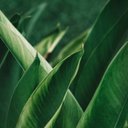 Keelan Avery - @avery_keel70741 - Twitter