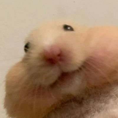째히さんのプロフィール画像
