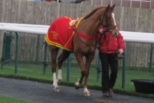 National Hunt Racing enthusiast; leisure cyclist; Mum to Emily and Annie.