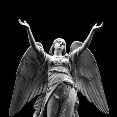 I’m a F1 girl 🪩🏎️✨yoongi girl @bts_twt #JESBIBLE #Charlos 1655 🫣 let’s pray for Ferrari and William (จริงๆก็รักทุกทีมจ้า เชียร์ทุกคน)