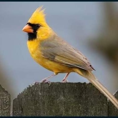 stArZshine82's profile picture. 