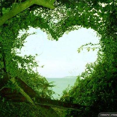 Altechnology24's profile picture. ُهذَا مٌاامٌنَ بُّه لُا شِئ مٌسِتْحُيَلُ