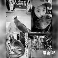 ggouruiying's profile picture. 分享
簡單生活的
平凡幸福