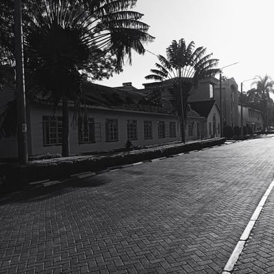 Kipkalia1133044's profile picture. @ManUtd .Chess♟️ .Poker cards ♦️