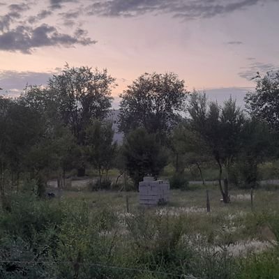 ISaguier's profile picture. Puede que a veces no sepa que quiero, pero SIEMPRE sé lo que NO quiero!