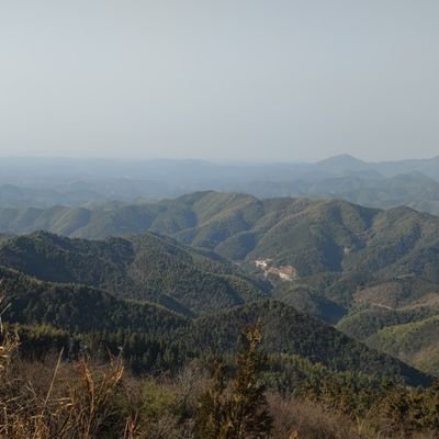 LisaAustin63614's profile picture. 战胜自己，坚持梦想！！！