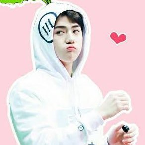 ♡ - ⋆「✦fan account ✦」 -♡⸝⸝🌷⋆𓍢ִ໋💐₊˚*ੈ♡⸝⸝🌷⋆💐 || we are one|| 💐 「✦no EXO no life ✦」 🌸 Be the change you wish to see in the world 💖~ exol vip atiny shawol