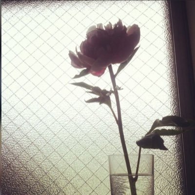vivienさんのプロフィール画像