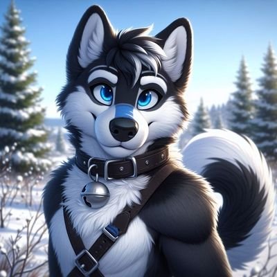 31 | furry | gamer 🎮 | 🔞please , and thank you | Hi , my name is Chris 🩵, I'm a a wolf 🐺 , it's a pleasure to meet you , I'm a professional artist 😊 feel f