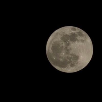 perrro0's profile picture. 