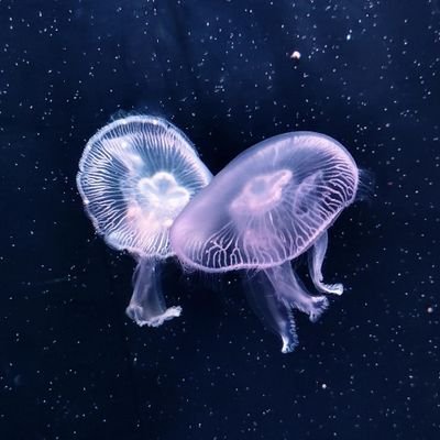 唯_さんのプロフィール画像