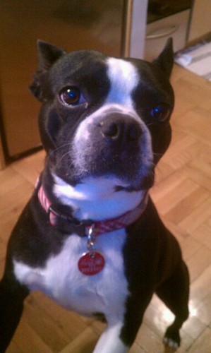 lexiepoo's profile picture. 