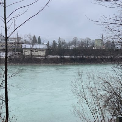 AlJarbouu's profile picture. 