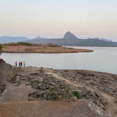 MayurTh96982048's profile picture. 