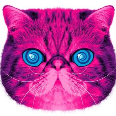 TervenCat's profile picture. 💚🤍💜