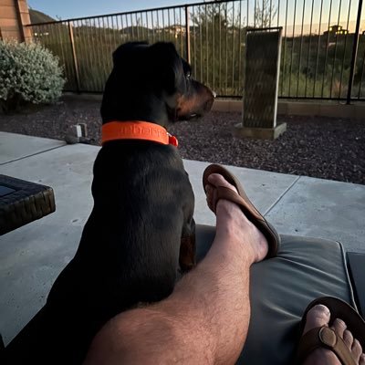 REstes3006's profile picture. 