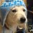 Klon51's profile image