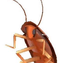 Roachさんのプロフィール画像