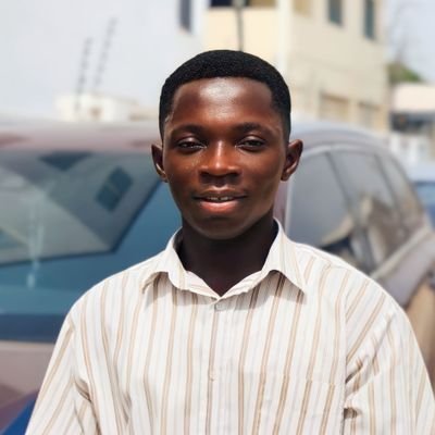 Frontend developer and Software engineering student @ alx-africa || A.I Explorer || Freelancer