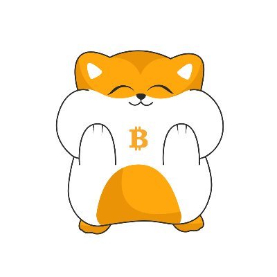 #Bitcoin #RUNES memecoin | SATOSHI•HAMI•INU