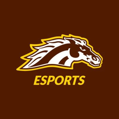 The official Twitter for WMU Esports. Organizer and venue for esports of all levels. https://t.co/hMbYu65LxG