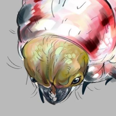 concept artist in practice, love drawing little critters and speculative biology.