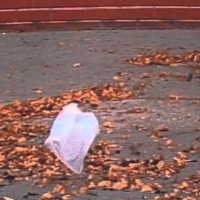 Yump169656's profile picture. 