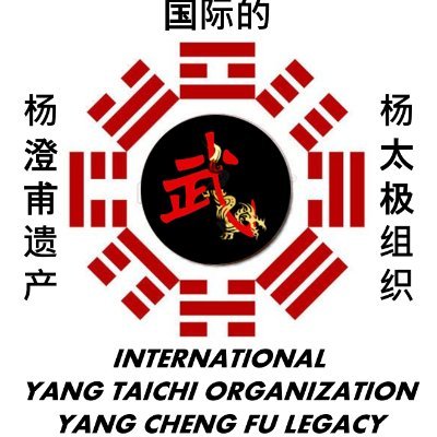 Coach de Salud y Seguridad Personal
Métodos Chinos Para la Salud
Taichi, Qigong, Ping Chuai Gong