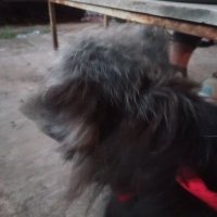 ya no tengo está cuenta (@ariherrera4215) 's Twitter Profile