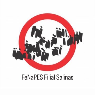 Cuenta oficial de la filial Salinas de la Federación Nacional de Profesores de Educación Secundaria