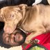 LarryDubsJr (@hippiechoncy) Twitter profile photo LarryDubsJr (@hippiechoncy) Twitter profile photo