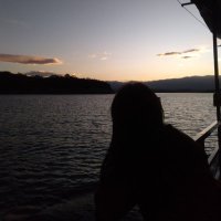 Poki (@poki81645461) 's Twitter Profile