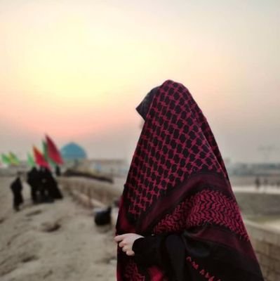 dokht_seyedAli's profile picture. دهه هفتادی 🇮🇷😍
 جانم فدای رهبر

 #فالو_بک