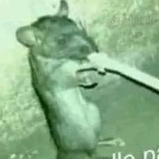 🚬🐀 I strive to align myself with what is true, setting aside any preconceived notions or previous opinions I might have held, and I hope you’d do the same.