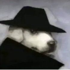 biabeabeo's profile picture. 26yo