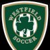Westfield Boys Soccer (@WHSRocks_BSOC) Twitter profile photo