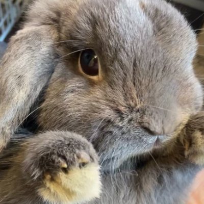 naamoru80265's profile picture. 永遠市ライブ東京参戦済み。amazarashiとDbDメインの雑多アカです。amz民、兼Dead by Daylightのswitch勢。フォローしてくださったamz民やDbD好きの方は基本フォロバします。無言フォロー失礼します。