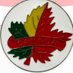 Bahir Kemal- ባህር (@bahir_1) Twitter profile photo Bahir Kemal- ባህር (@bahir_1) Twitter profile photo