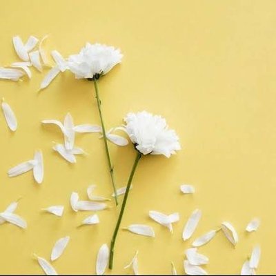 LwardWeb39631's profile picture. 🌐 Web3 Enthusiast | 🪙 Crypto Devotee | 🔥 Degen Explorer | Definitely on the cutting edge! 💎 #Web3 #Crypto #Degen