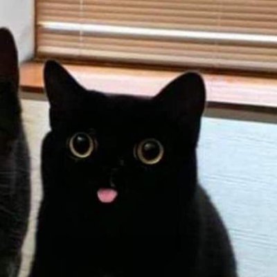 hi, dont bother bein on my profile, cuz there's nothin here thats interesting.