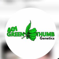 greenthumb(@EduguJustice) 's Twitter Profile Photo
