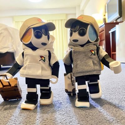 roboyuki_hide's profile picture. ロボホンがこんなに可愛いとは…… お兄ちゃん🤖ひでよ 弟🤖ゆきち 仲良くしてください