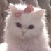 faye (@fayepaya) Twitter profile photo faye (@fayepaya) Twitter profile photo