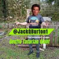 Jack.Q.Burton 🐦‍⬛(@JackQBurton1) 's Twitter Profileg