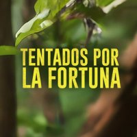 Tentados por la Fortuna(@TentadosFortuna) 's Twitter Profileg