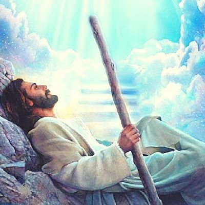 TronpoliceV72's profile picture. Corrige al sabelotodo y te tomara por su enemigo😎