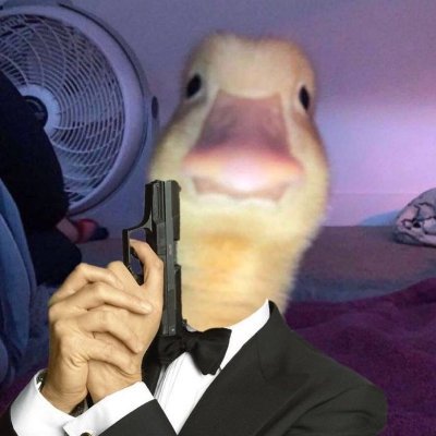 USE THESE HAROLD AS YOUR PROFILE PICTURES quack